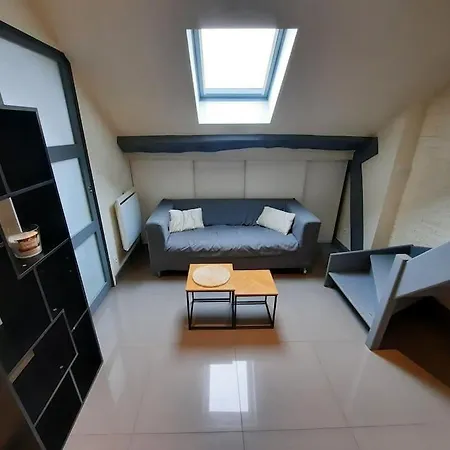 Le Jeannin - Apt 2 Prs, 1 Ch Centre Historique * Dijon